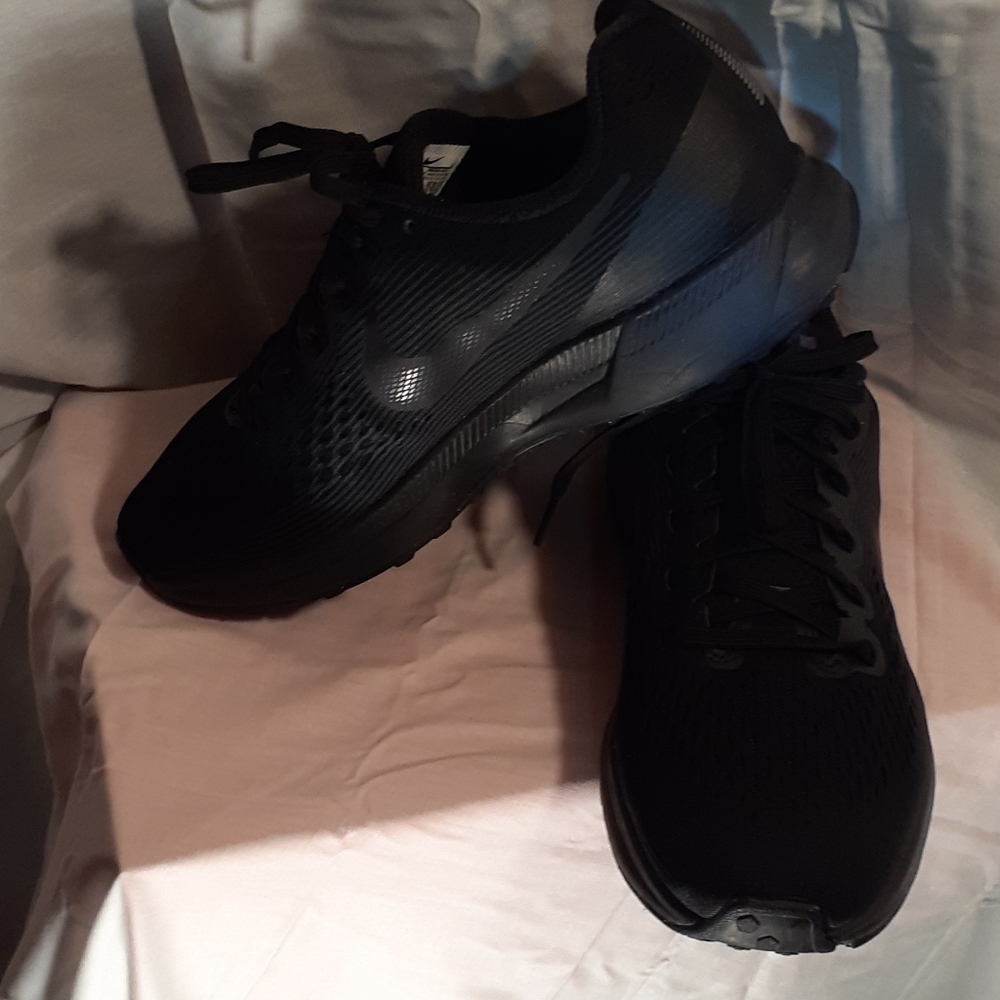 Nike Air Zoom Pegasus